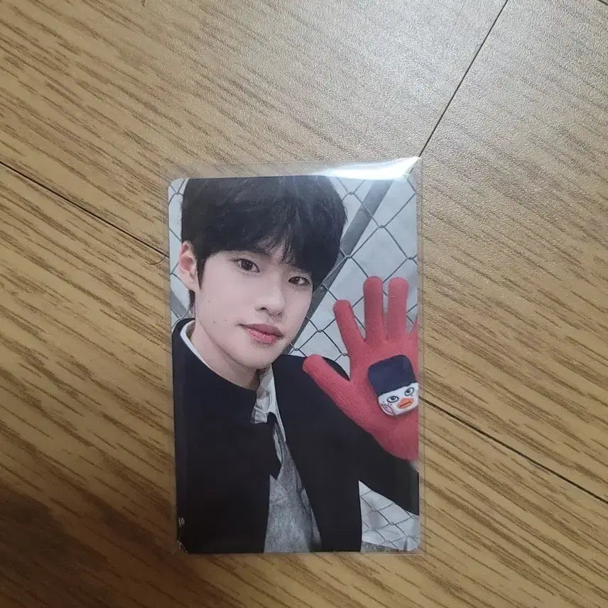 라이즈 md 장갑 포카