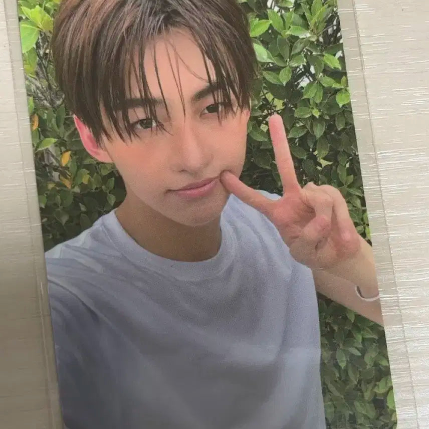 투어스 TWS 지훈 summer beat m2u 엠투유 럭키드로우 럭드