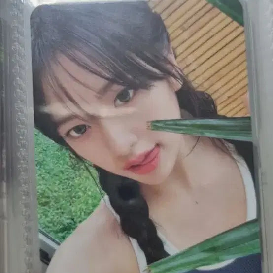 아이브 안유진 포카