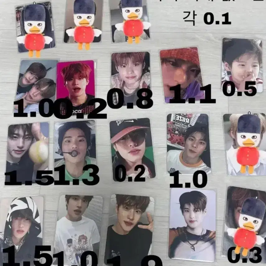 라이즈 소희 포카 일괄