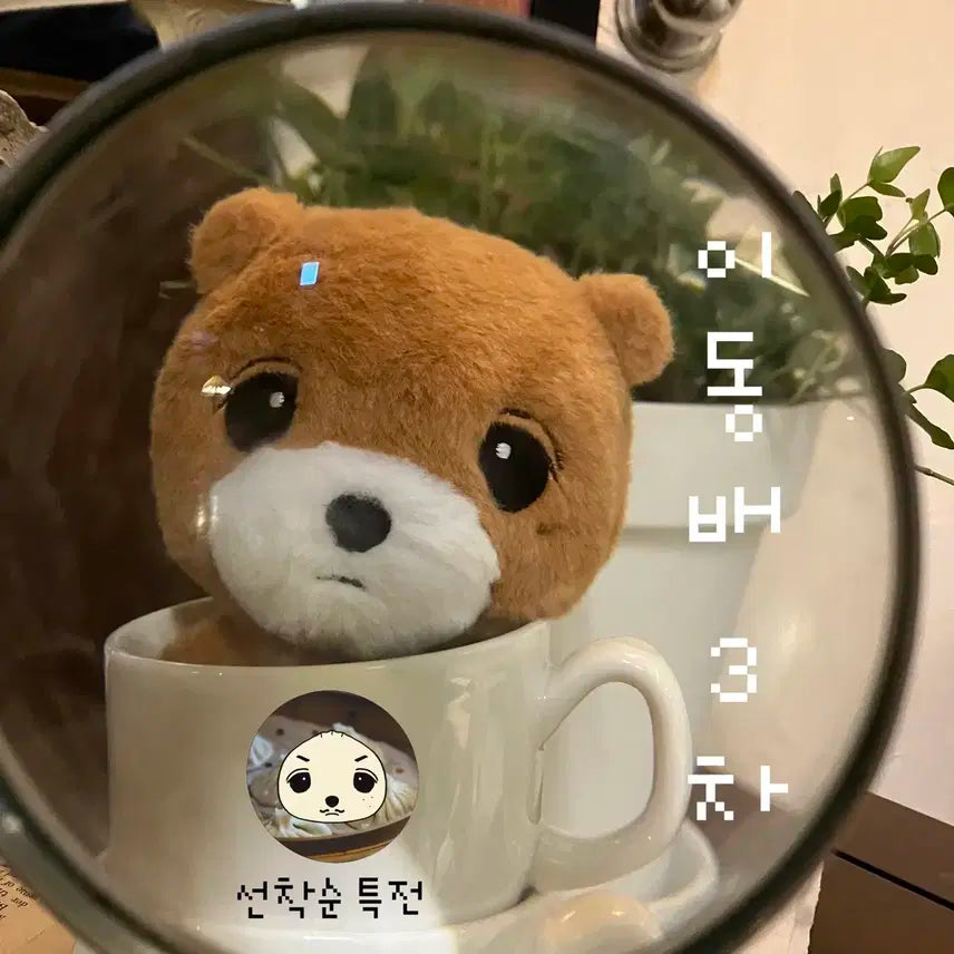 이동배 이곰도 판매 양도합니다