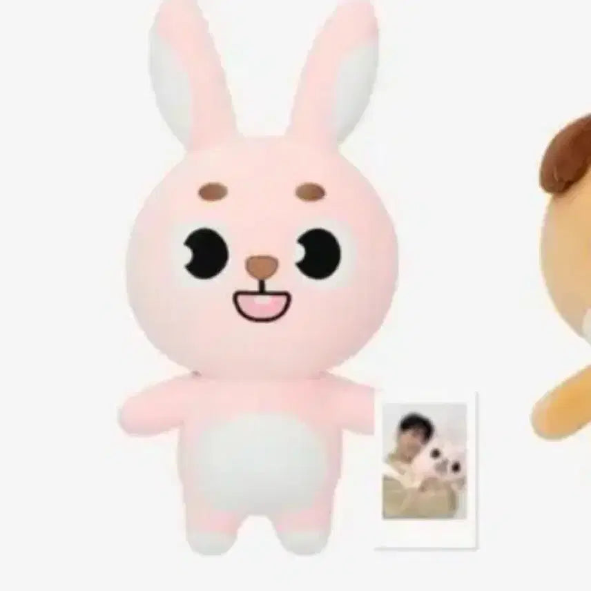 데이식스 자이언트 데멀 자멀 필