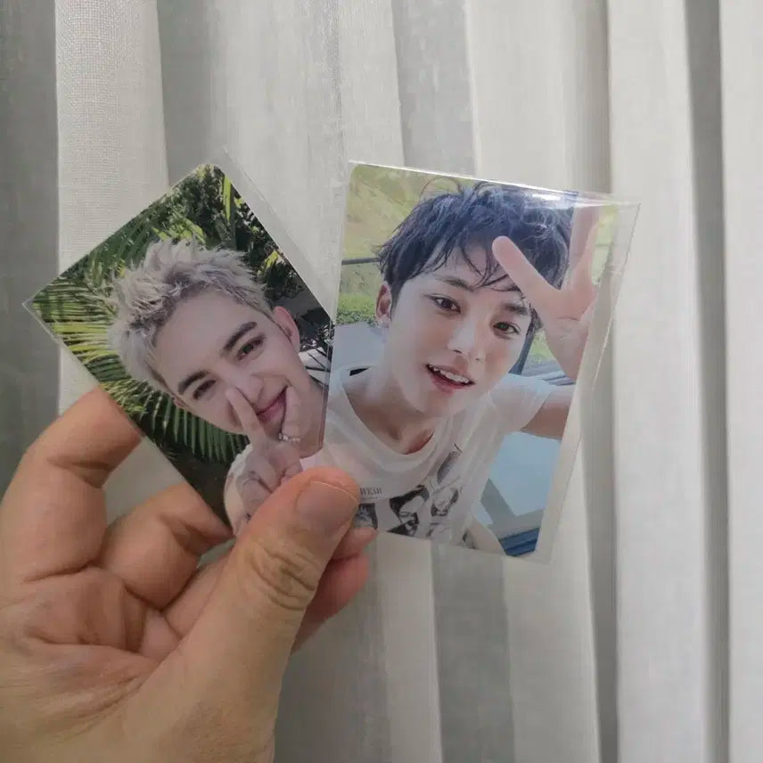 뮤플 쿱스 승철이 특전 세븐틴