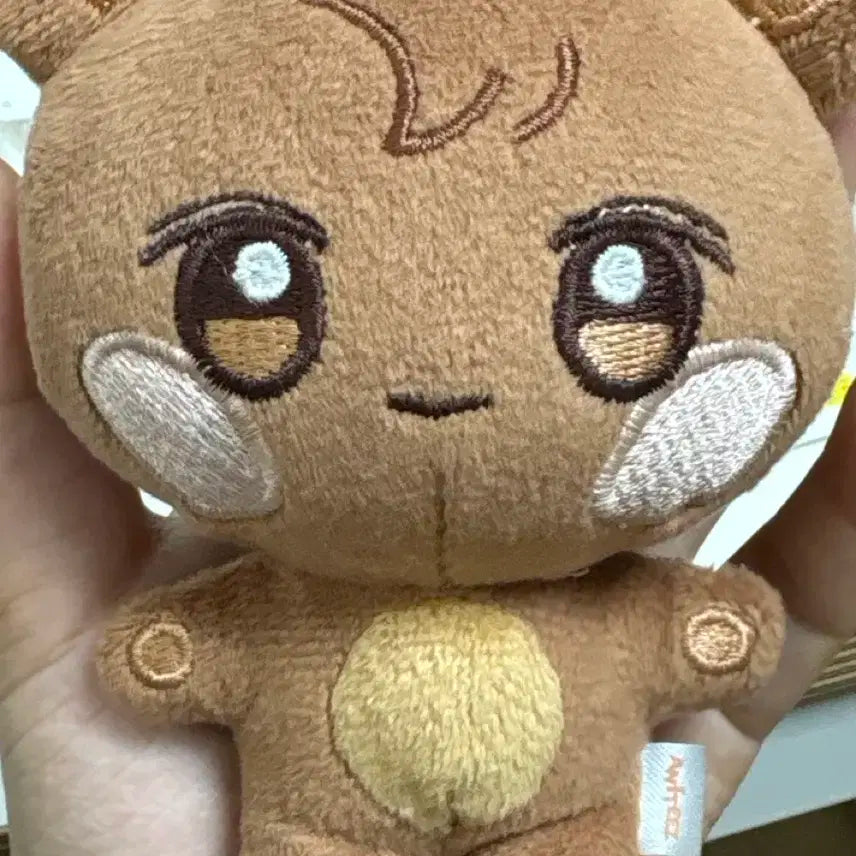 에이티즈 애니티즈 쫑베어