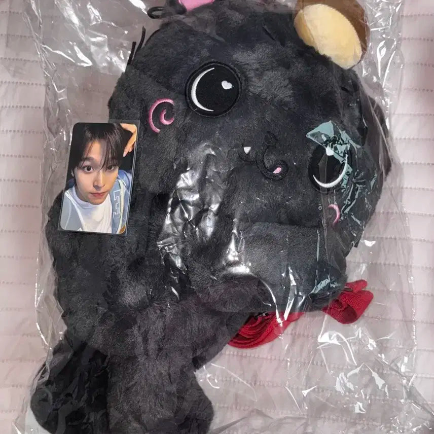 엔시티위시 로그인 엠디 위시돌 쿠리 가방 판매(포카포함)