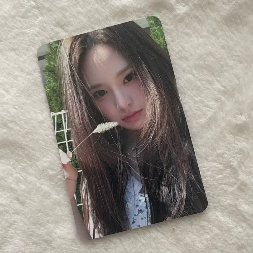 이즈나 방지민 beep 공방포카 포토카드 미공포 양도 판매