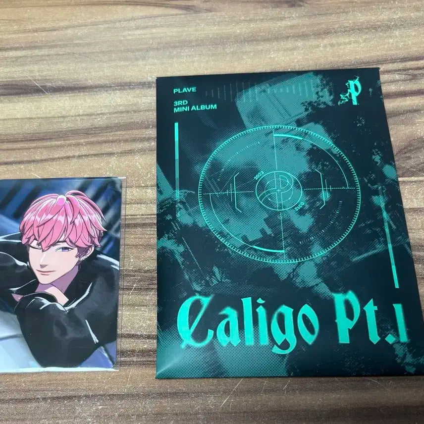 플레이브 칼리고 앨범이랑 알라딘 미공포 밤비