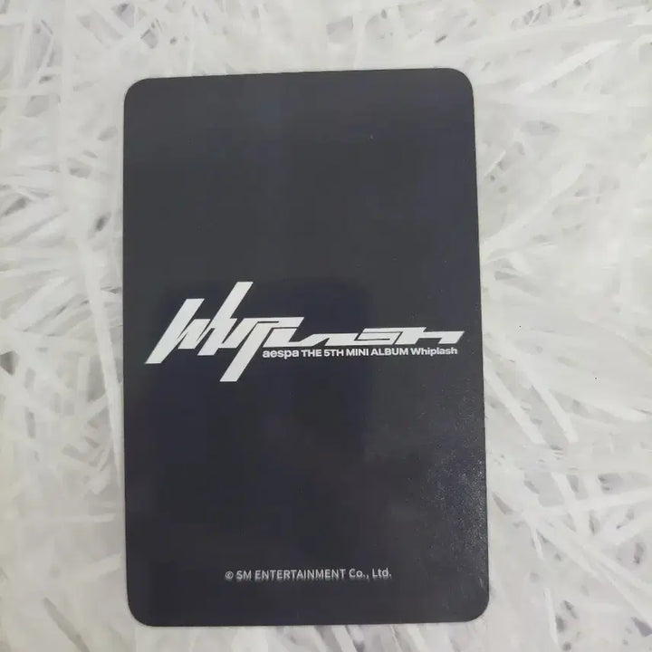 에스파 위플래시 점프업 럭드 닝닝 특전 포카 양도