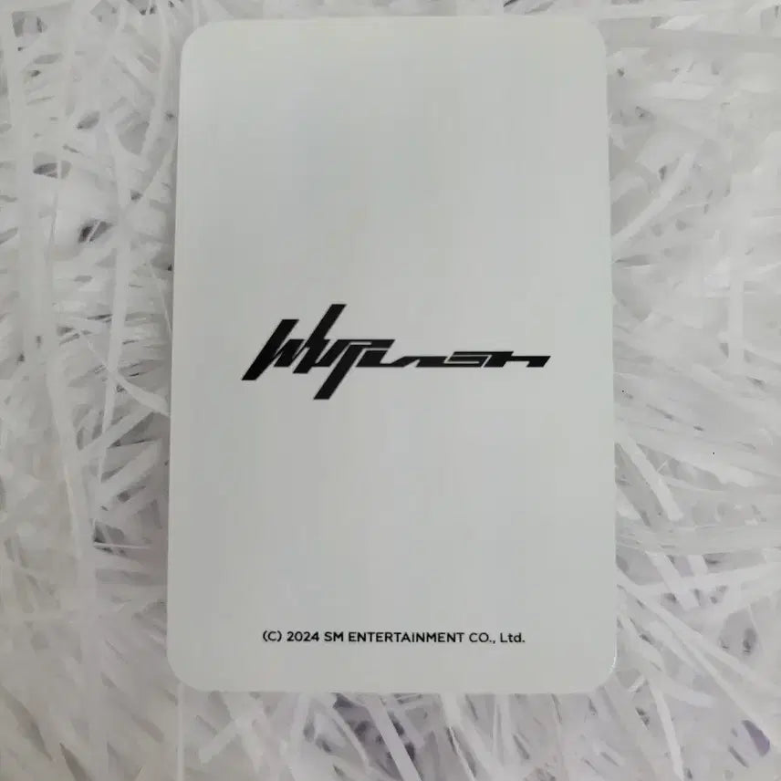 에스파 위크 위플래시 mood 스트렙 세트 윈터 포카