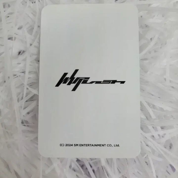 에스파 위크 위플래시 mood 스트렙 세트 윈터 포카