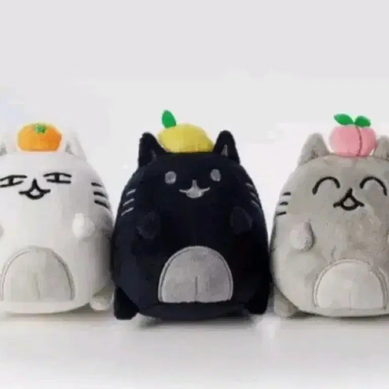 세븐틴 열닫잠 ocl 열어 닫아 잠가 준휘 인형