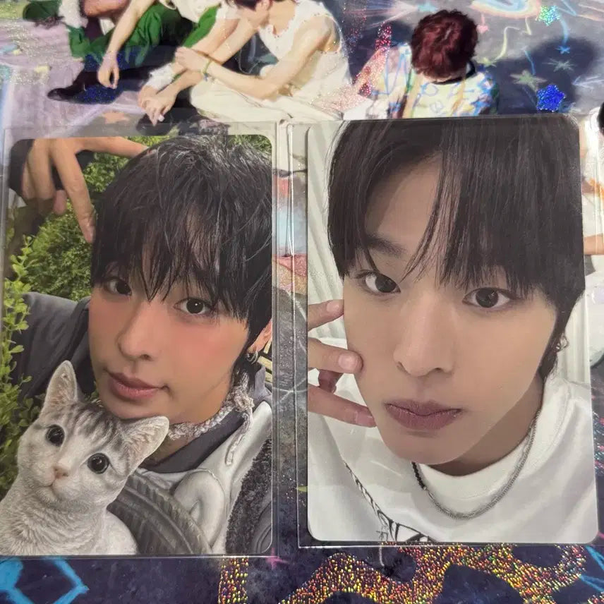 엔시티 위시 리쿠 무신사 특전 럭드 포카 양도 위시돌 쿠리 핑크 시크릿