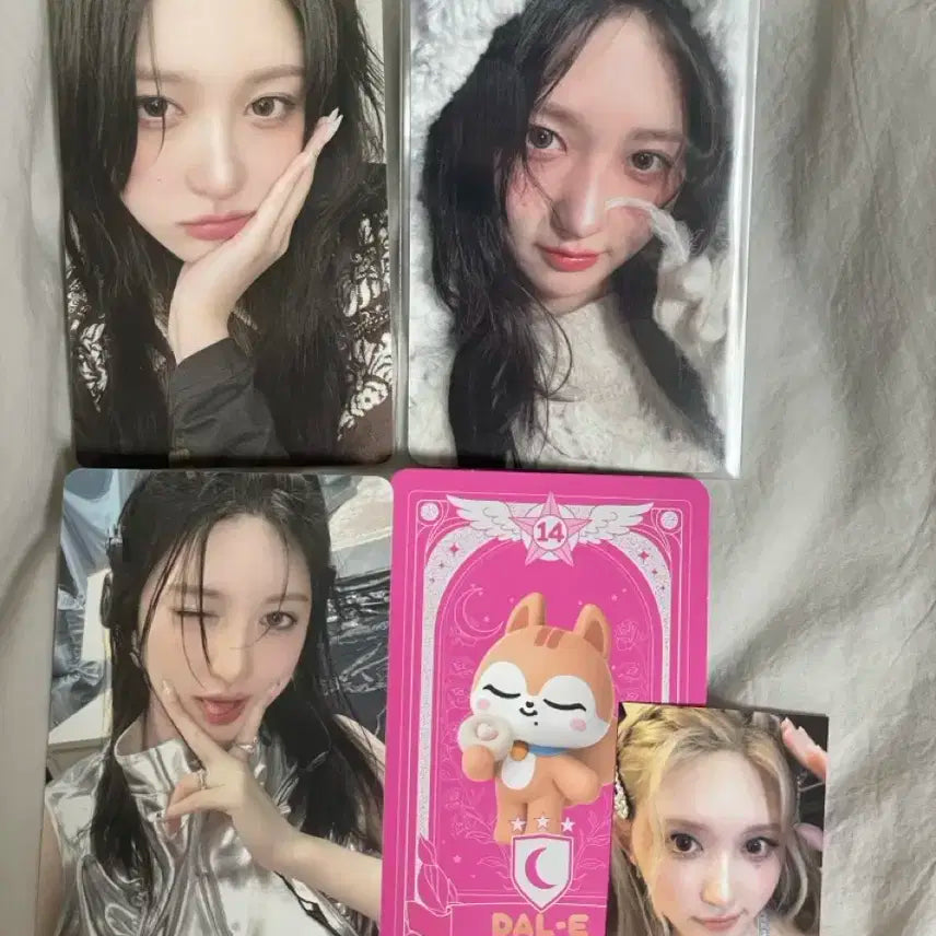 아이브 가을 포카 일괄