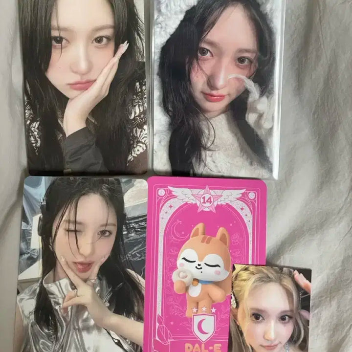 아이브 가을 포카 일괄