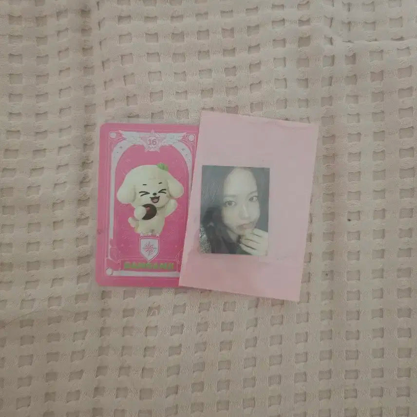 아이브 크리스피 도넛 안유진 포카, 증사