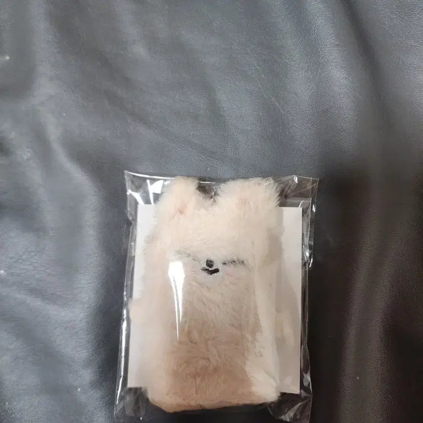 SKZ World Tour <dominATE JAPAN>-폭시니