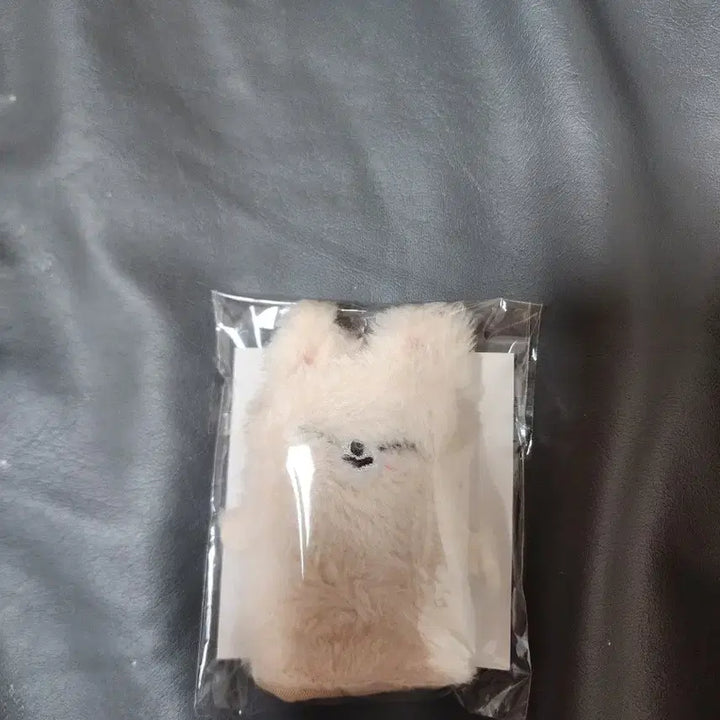 SKZ World Tour <dominATE JAPAN>-폭시니