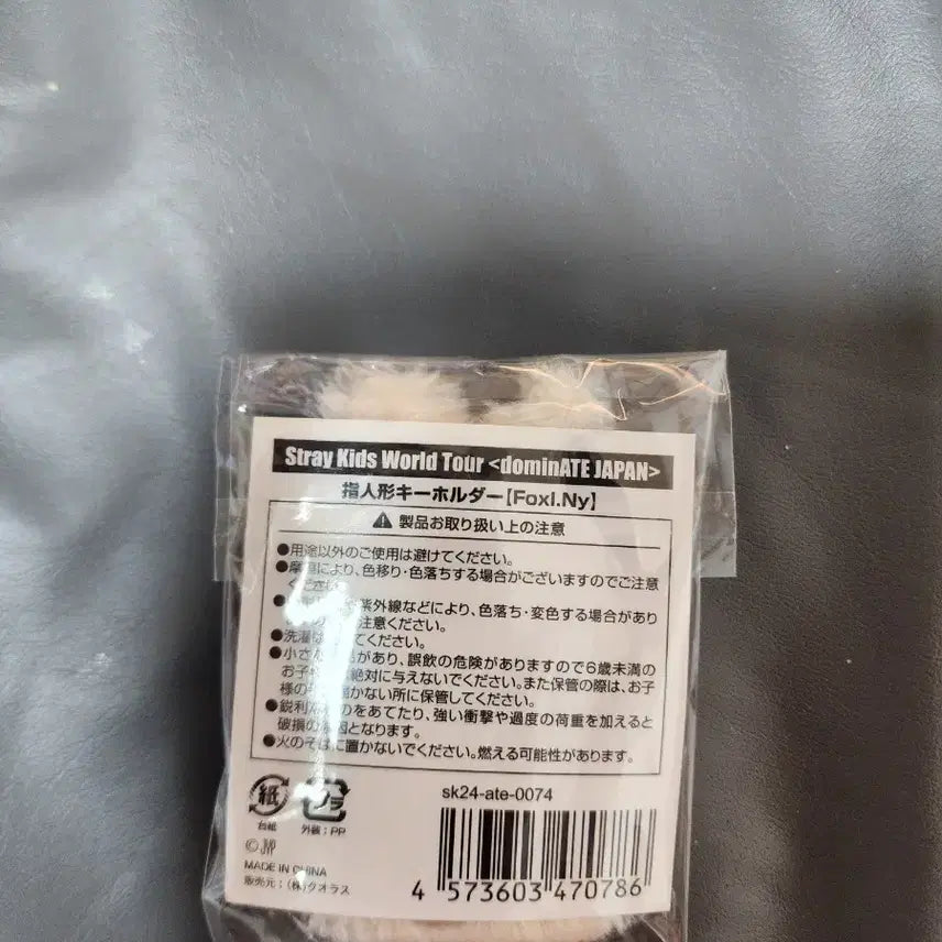 SKZ World Tour <dominATE JAPAN>-폭시니