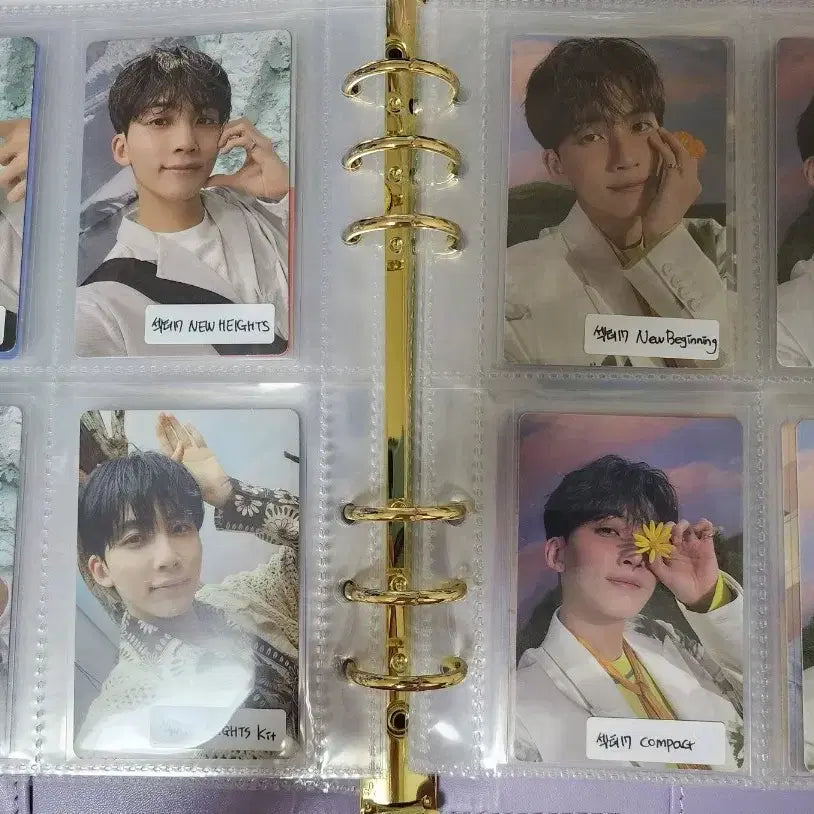 세븐틴 정한 섹터17 포토카드 일괄