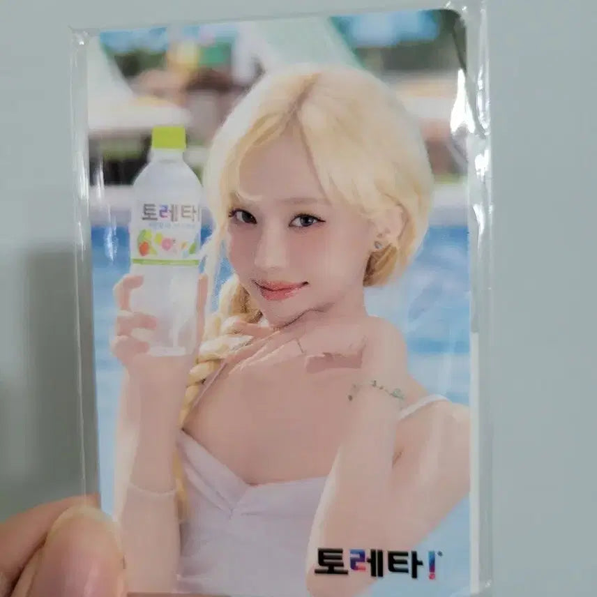 에스파 윈터 토레타 포카