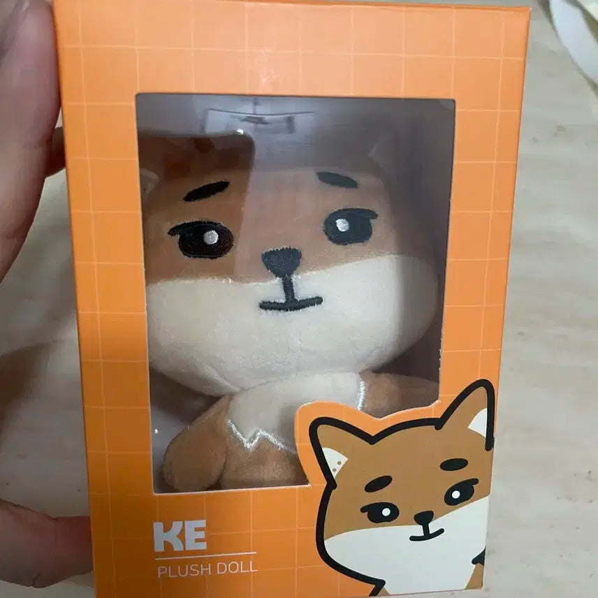 *데이식스 데니멀즈 24케 풀박스*