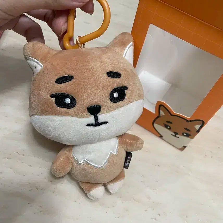 *데이식스 데니멀즈 24케 풀박스*