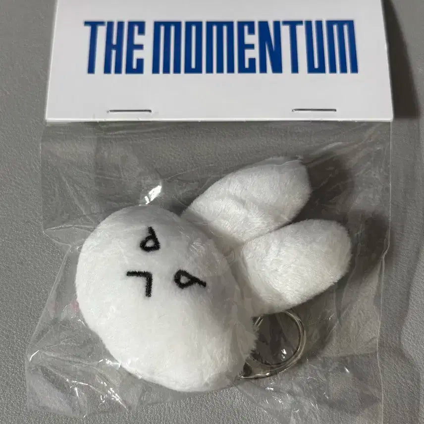 엔시티127 더모멘텀 키링 도영 미개봉 양도합니다