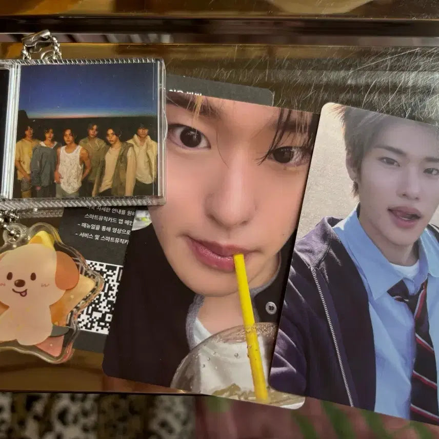 라이즈 메가스미니 일괄 판매 개봉 앨범 소희 포카 멍룡 앤톤