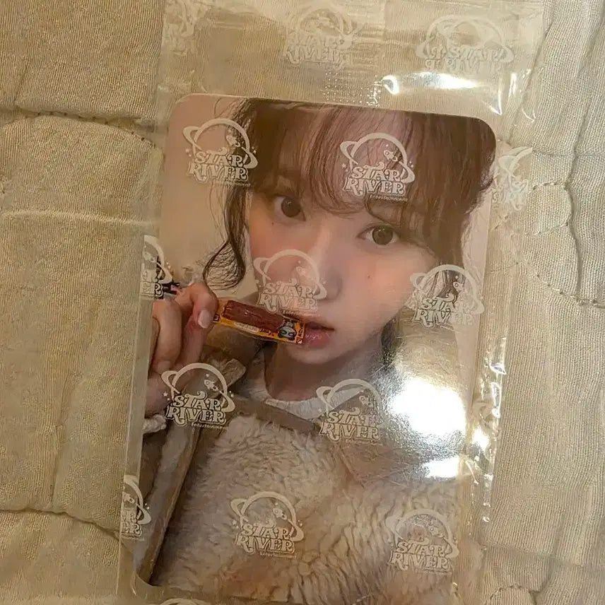 에스파 윈터 포카 양도 스타리버 윈터 양도