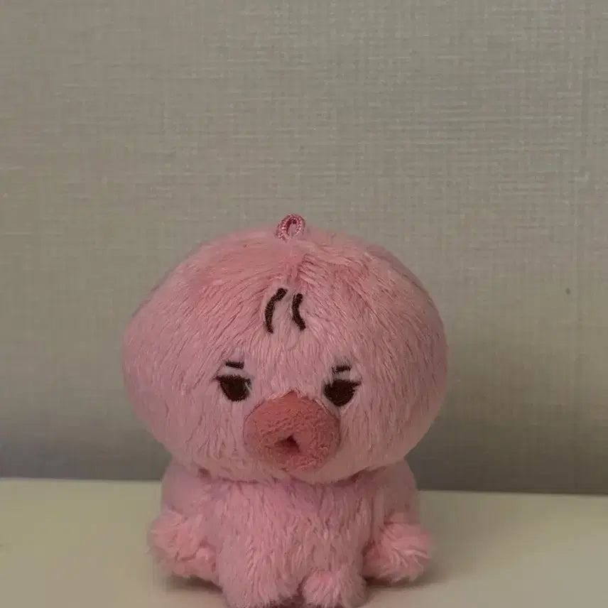 더보이즈 김선우 떤코 양도