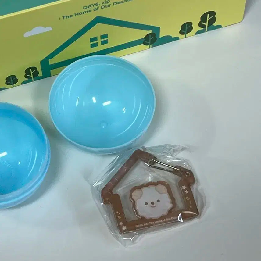 데식집 데이식스 팝업 기프트 풀세트 + 돈 카라비너