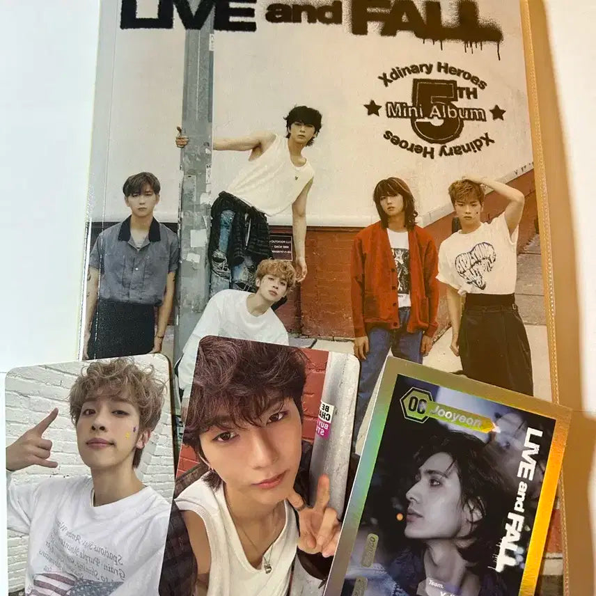 엑디즈 립앤폴 앨범(포카포함)