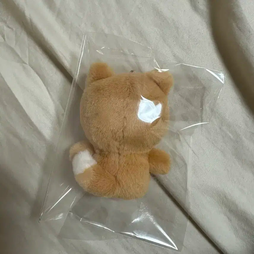 데이식스 쁘띠멀즈 핑거인헝 손가락인형 케