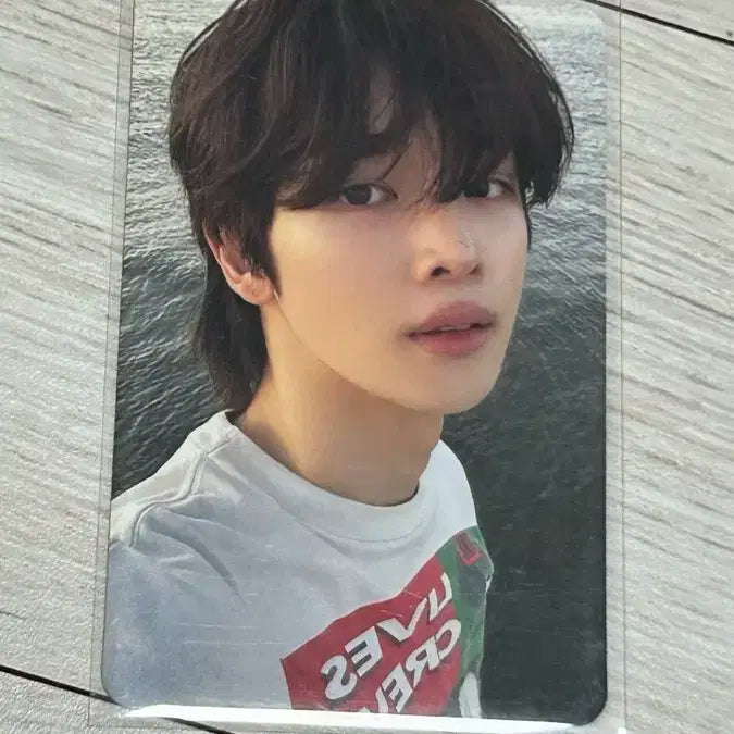 라이즈 성찬 포카