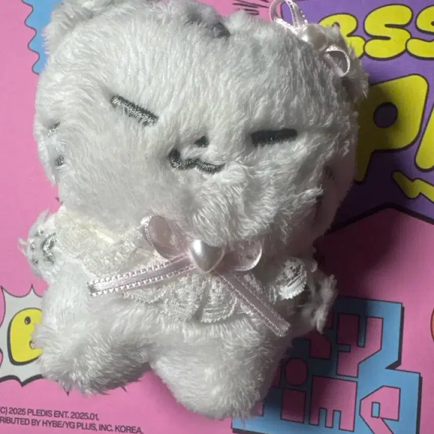 세븐틴 호시 인형 호찌