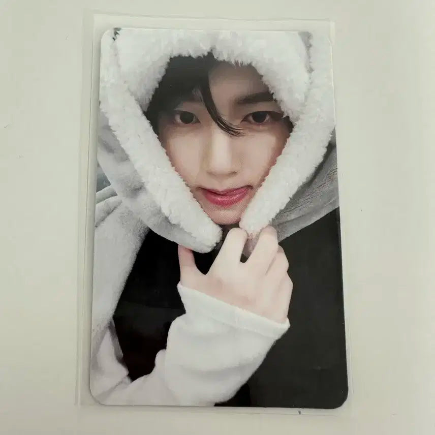 제로베이스원 한유진 토끼담요 포카 양도