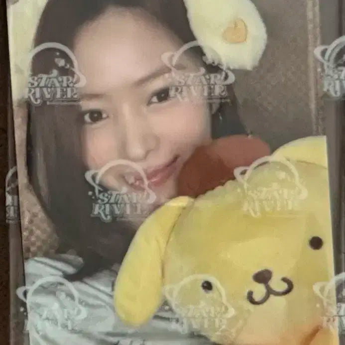 류진 폼폼푸린 포카