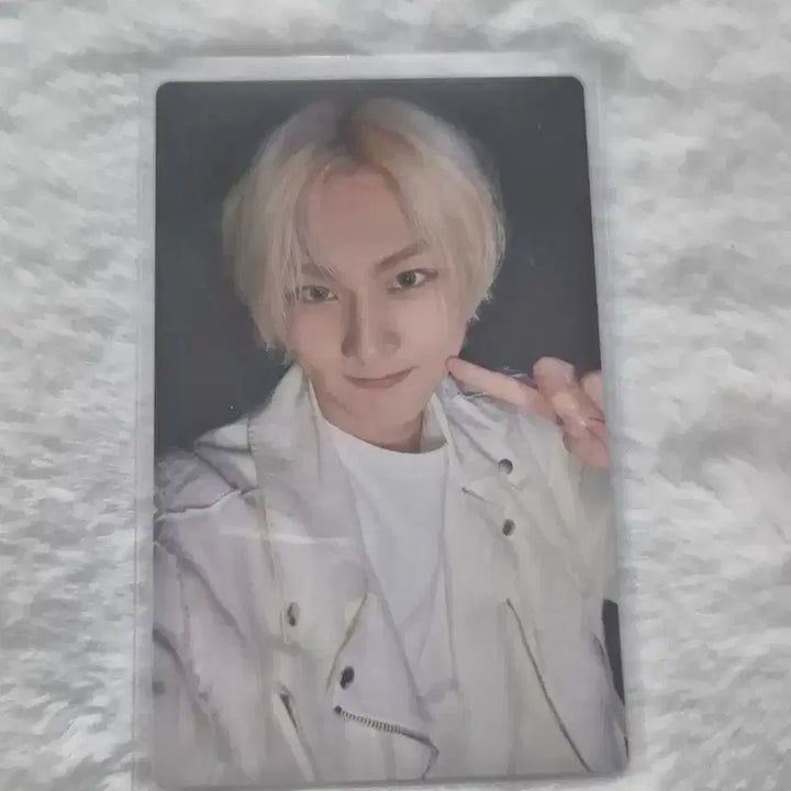 엔하이픈 yoi 스탠다드 앨범포카 정원