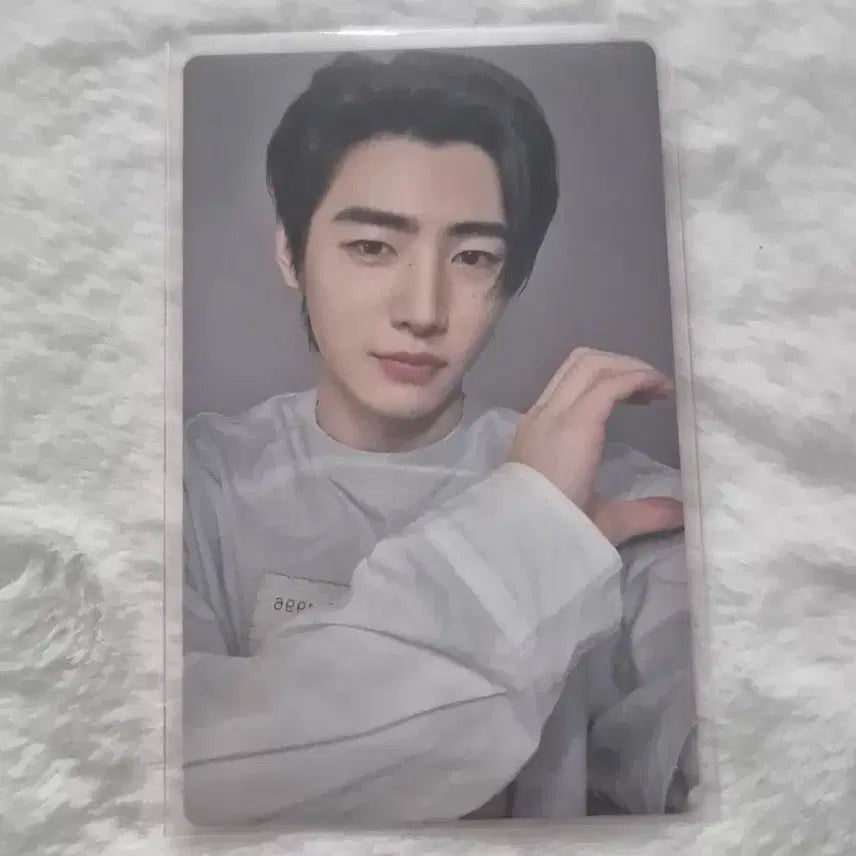 엔하이픈 YOI 일본앨범 포카 성훈
