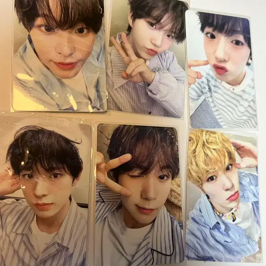 엔시티위시 시즌그리팅 공식 포카