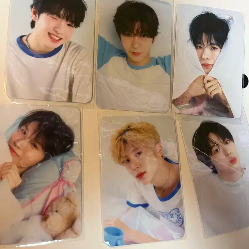 위시 시즌그리팅 공식 포카