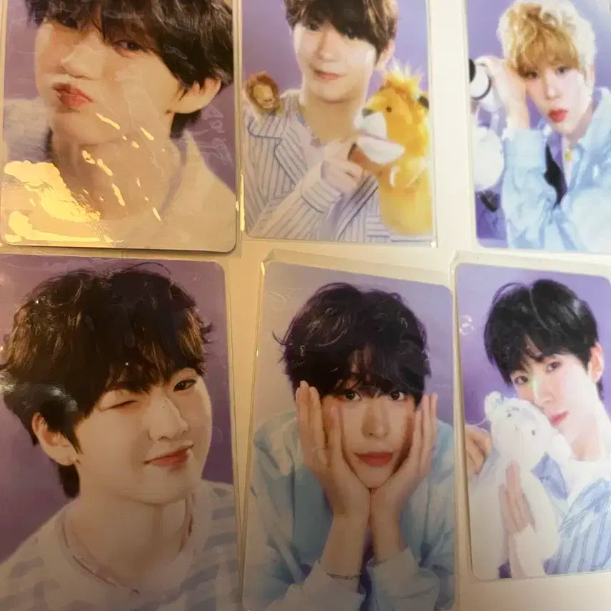 위시 시즌그리팅 공식 포카