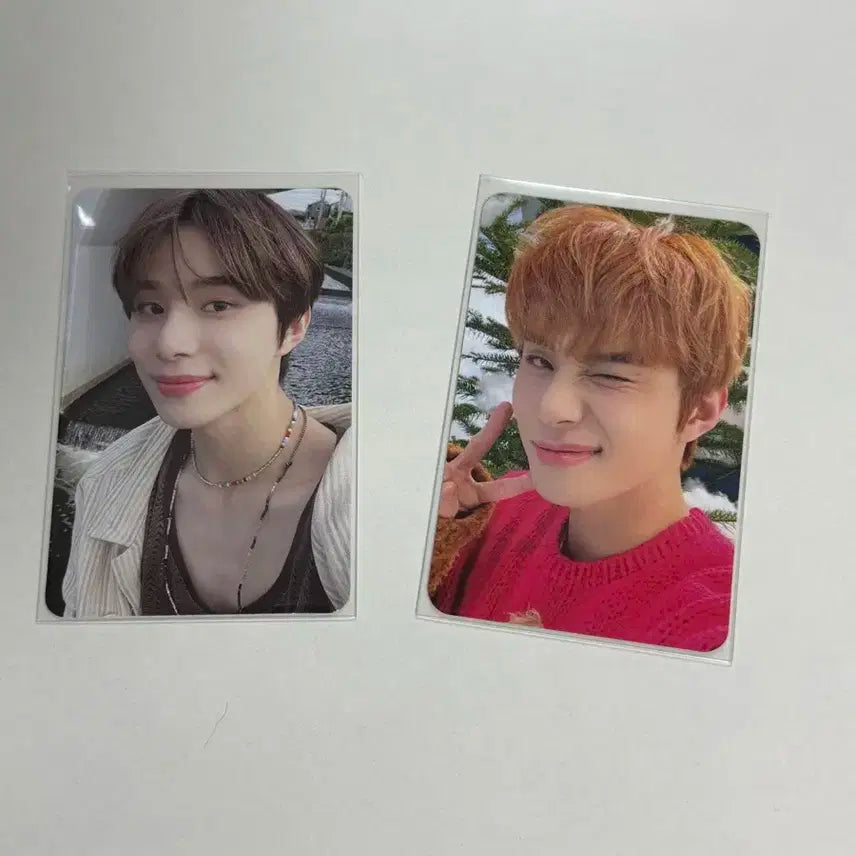 nct 정우 포카 일괄