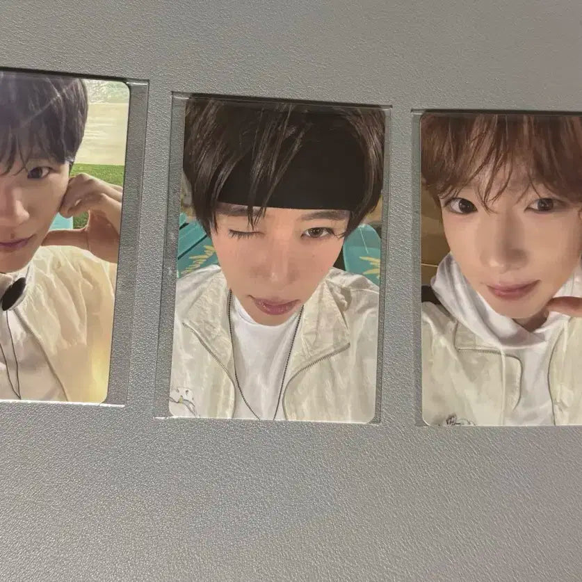 엔시티위시 컬러 팝업포카 띠부실 일괄