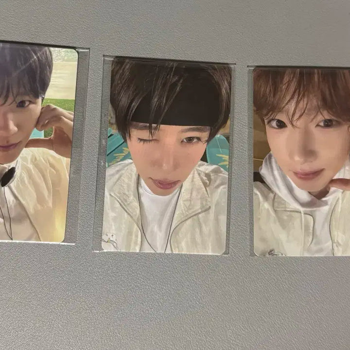 엔시티위시 컬러 팝업포카 띠부실 일괄