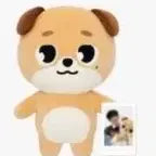 자이언트 데니멀즈 돈