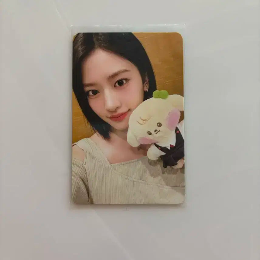 아이브 안유진 미니브 팝업 특전 강안지 포카 양도 판매