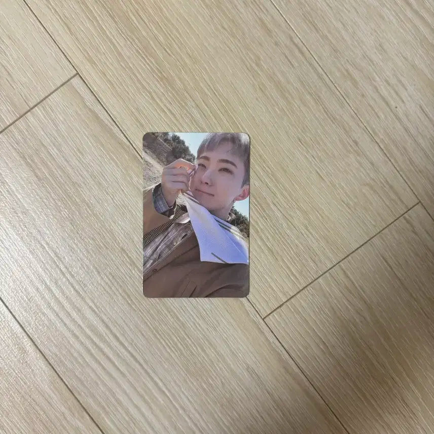 세븐틴 눈쓱햄 포카 호시