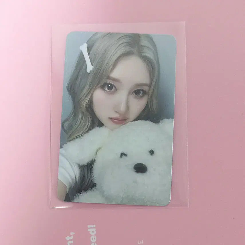 아이브 가을 헬로라이브 양도합니다.