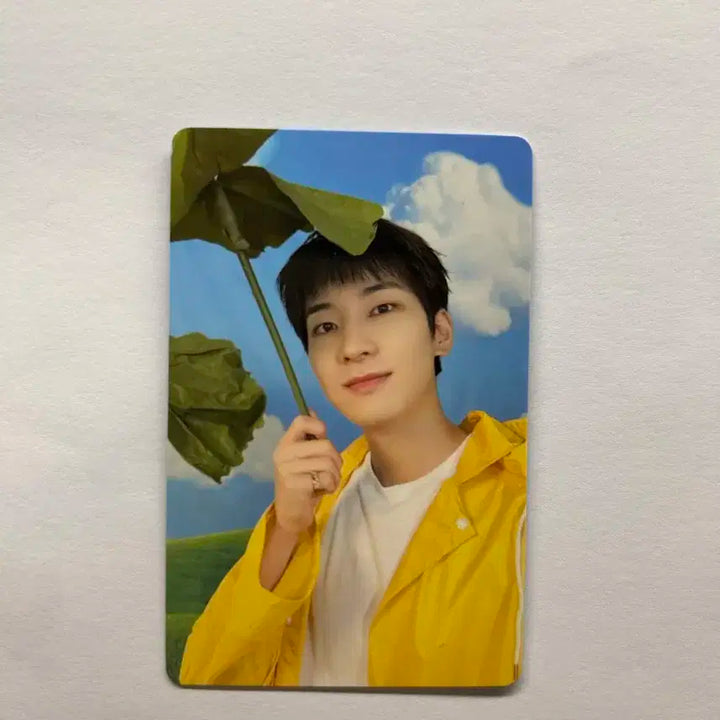 급처!!)) seventeenth heaven 원우 포카